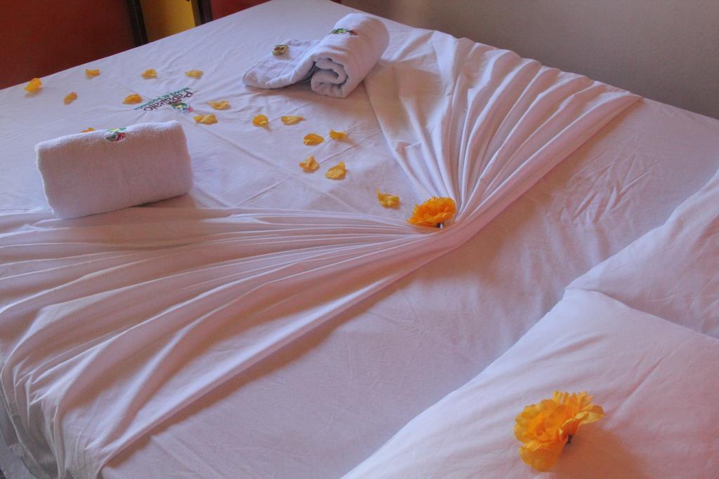 Papagaio Hostel & Pousada 莫罗圣保罗 客房 照片